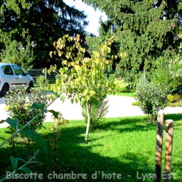 chambres hotes Decines Chassieu - Biscotte B&B