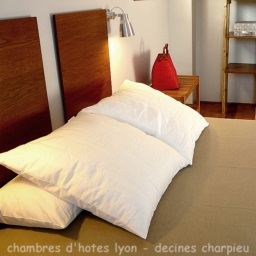 Hotel B&B - chambre d'hôte Décines Meyzieu lyon Est